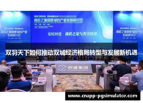 双羽天下如何推动双城经济格局转型与发展新机遇