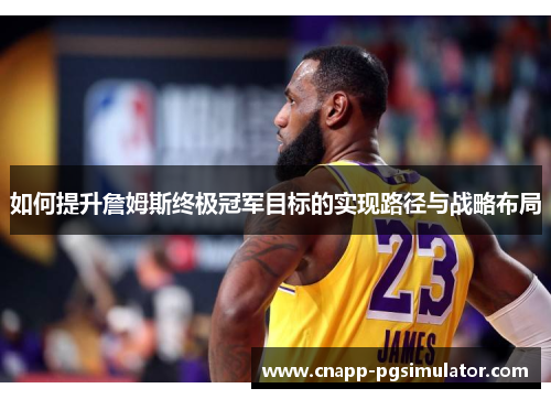 如何提升詹姆斯终极冠军目标的实现路径与战略布局