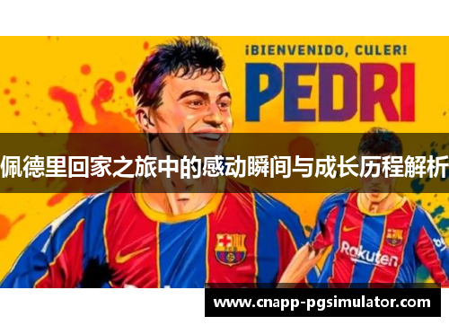 佩德里回家之旅中的感动瞬间与成长历程解析