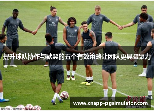 提升球队协作与默契的五个有效策略让团队更具凝聚力