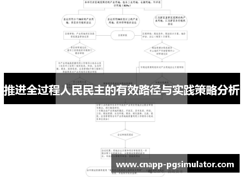推进全过程人民民主的有效路径与实践策略分析