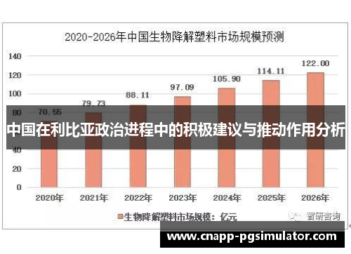 中国在利比亚政治进程中的积极建议与推动作用分析