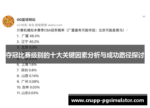 夺冠比赛级别的十大关键因素分析与成功路径探讨