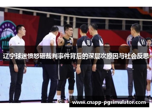 辽宁球迷愤怒砸裁判事件背后的深层次原因与社会反思