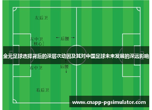 金元足球选择背后的深层次动因及其对中国足球未来发展的深远影响