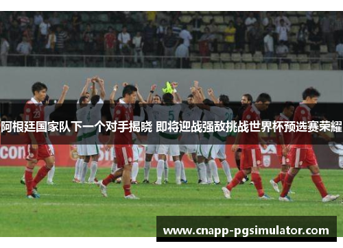 阿根廷国家队下一个对手揭晓 即将迎战强敌挑战世界杯预选赛荣耀 阿根廷国家队下一个对手揭晓 即将迎战强敌挑战世界杯预选赛荣耀