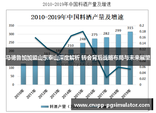 马德鲁加加盟山东泰山深度解析 转会背后战略布局与未来展望