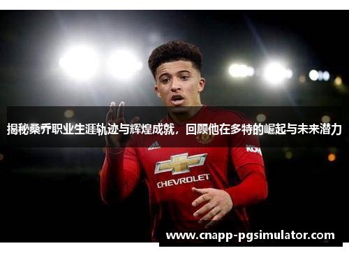 揭秘桑乔职业生涯轨迹与辉煌成就，回顾他在多特的崛起与未来潜力