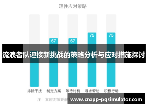 流浪者队迎接新挑战的策略分析与应对措施探讨