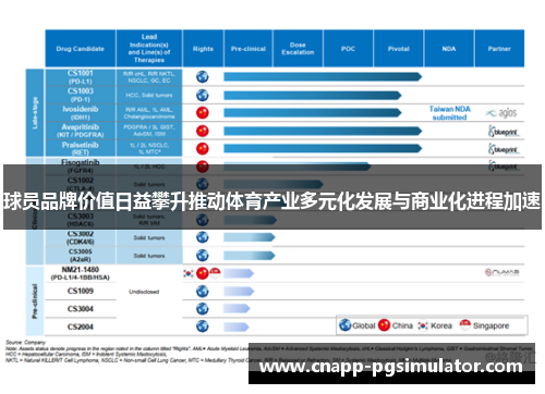 球员品牌价值日益攀升推动体育产业多元化发展与商业化进程加速