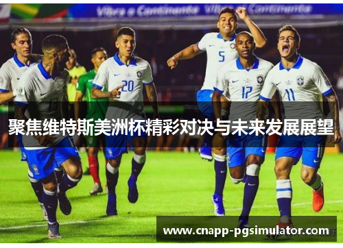 聚焦维特斯美洲杯精彩对决与未来发展展望