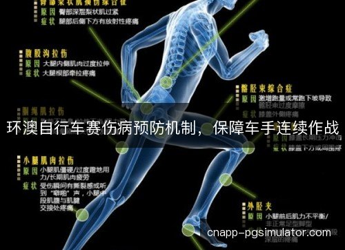 环澳自行车赛伤病预防机制，保障车手连续作战
